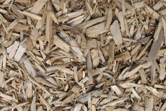 biomass boilers Struell